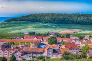 Crus et vignes de champagne