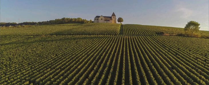 region viticole de champagne