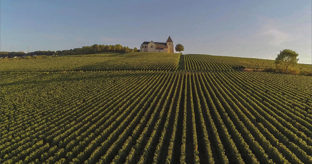 region viticole de champagne