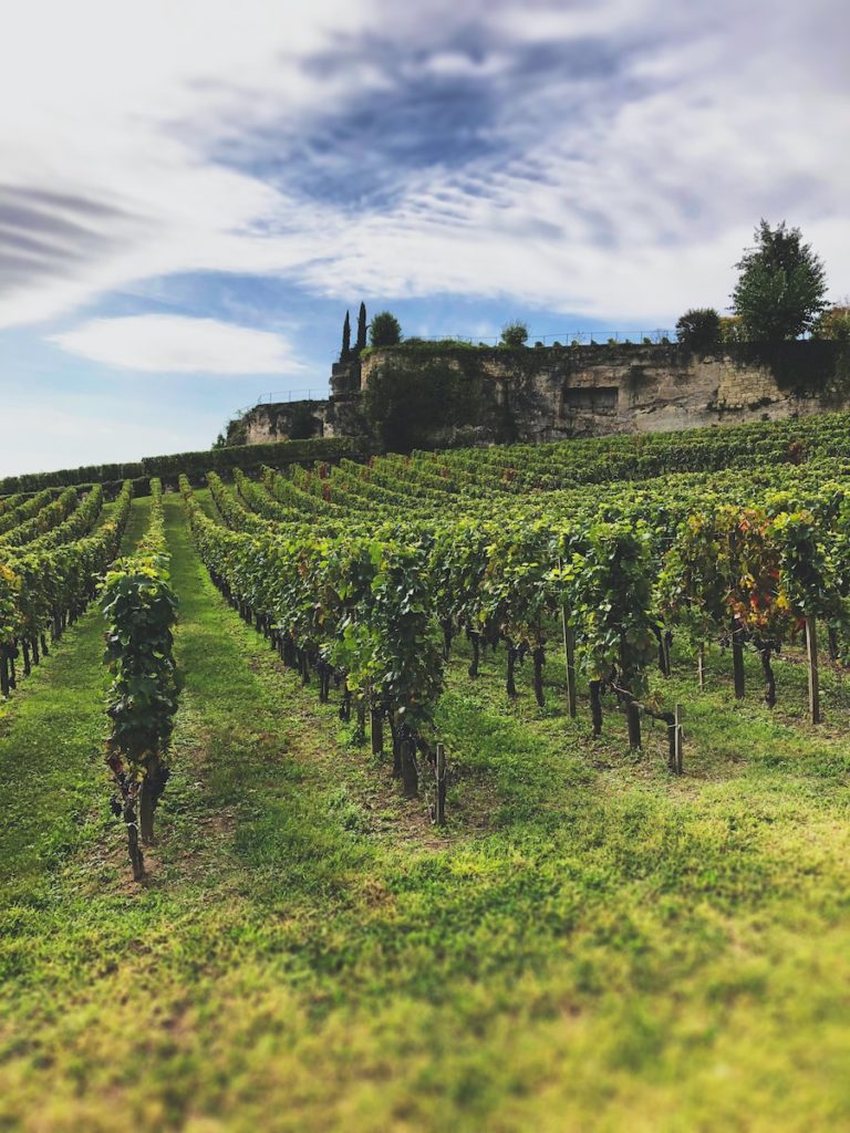 Le vin de Saint-Emilion est par exemple réputé