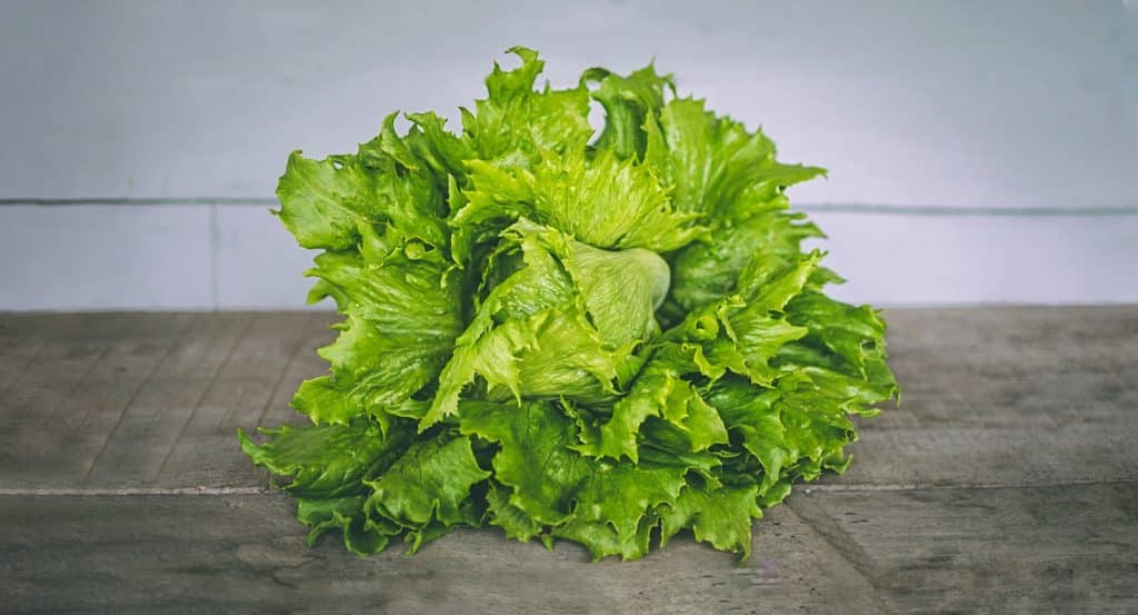 une simple salade verte peut suffire comme accompagnement