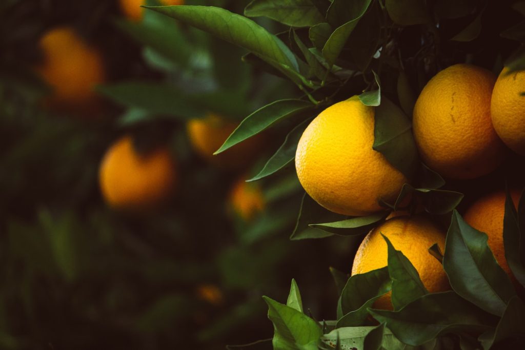 utilisez de beaux citrons jaunes