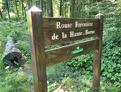 chemin de promenade montagne de reims