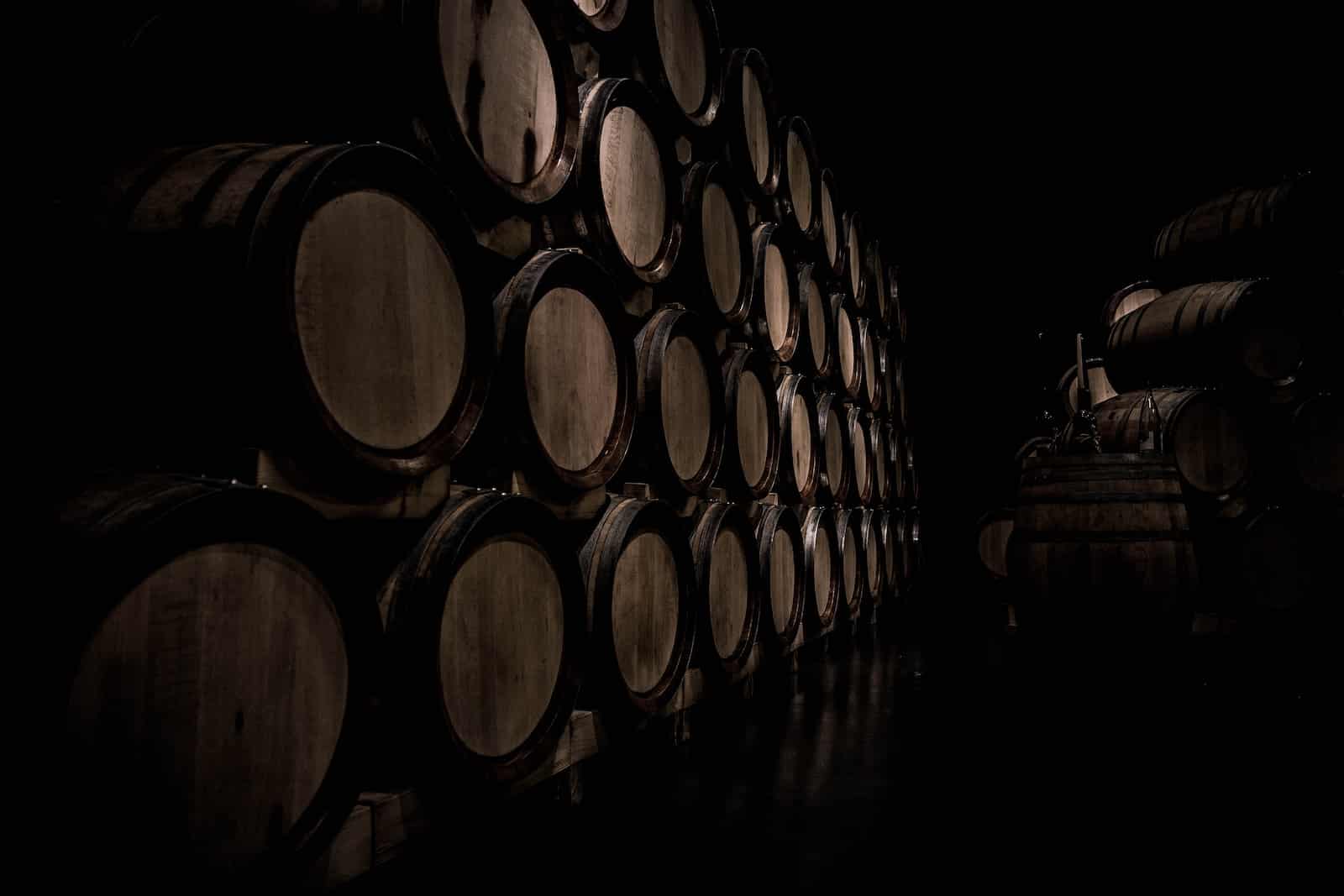 processus de vinification