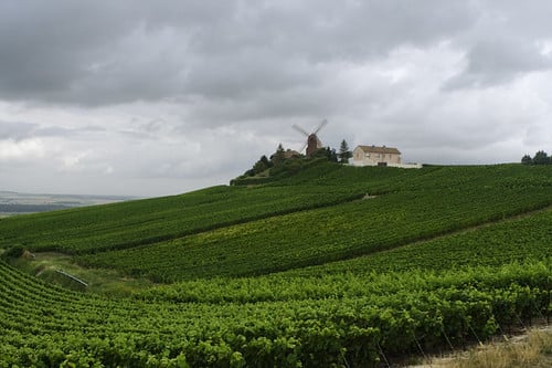 Caractéristiques du champagne millésimé