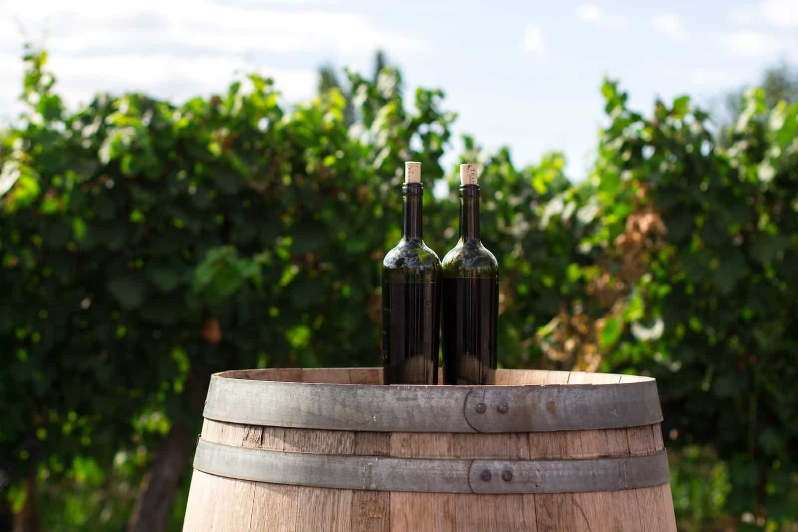 Qu'est-ce qu'un vin AOC ?