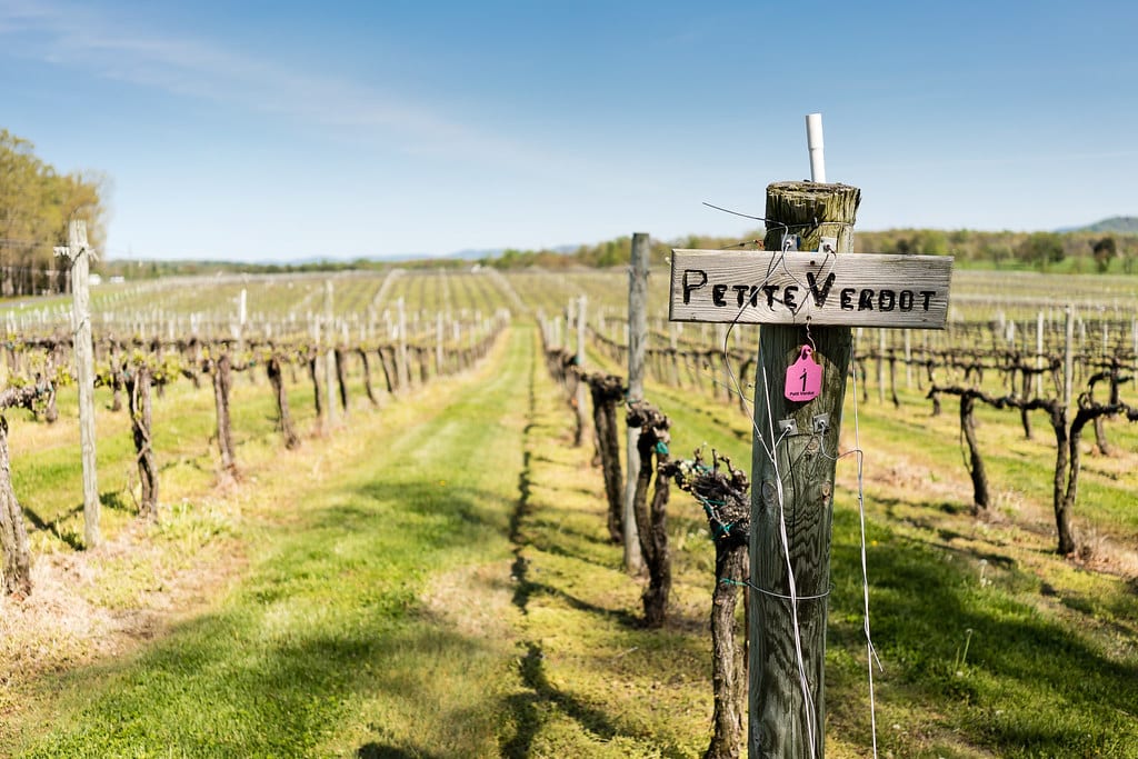 petit verdot