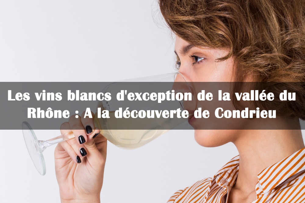 vin blanc vallee du rhoe condrieu