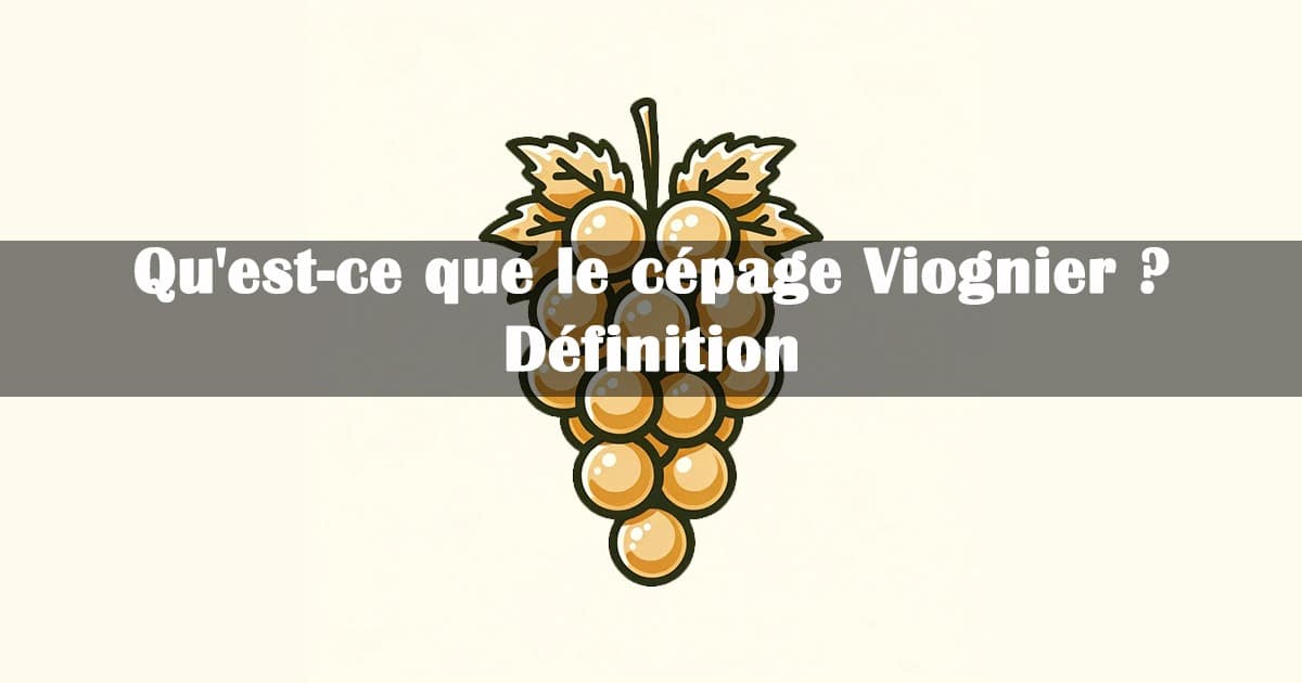 cépage Viognier definition