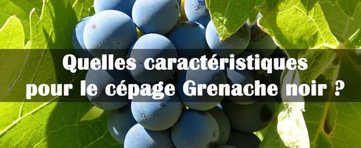 cepage grenache noir