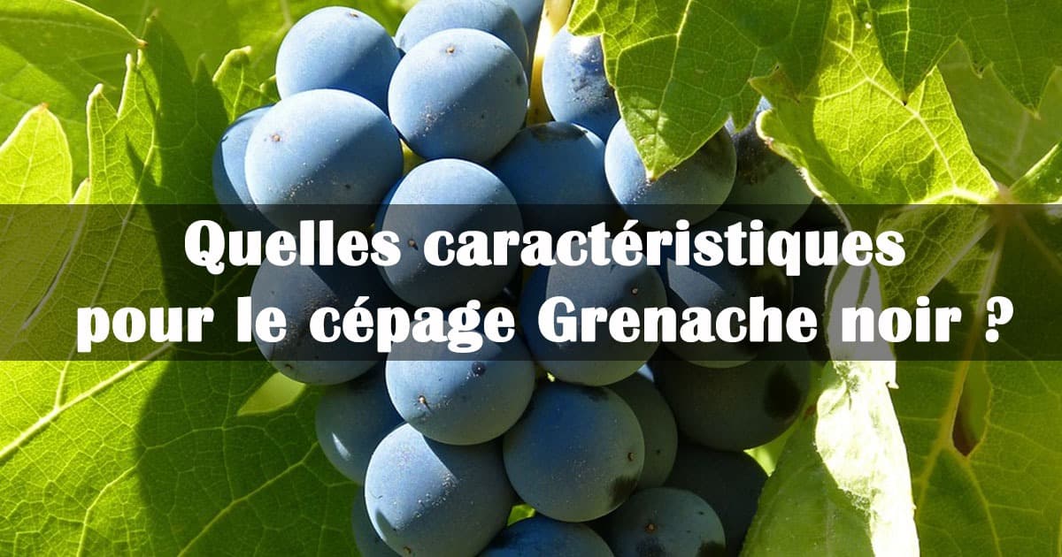 cepage grenache noir