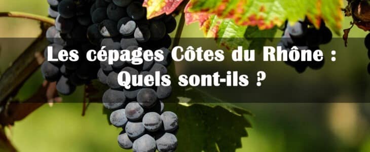 cépages Côtes du Rhône