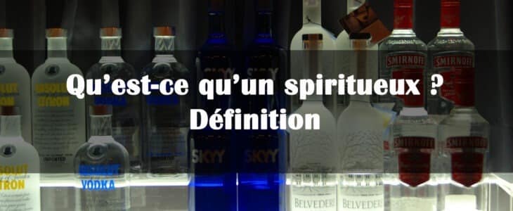 spiritueux definition